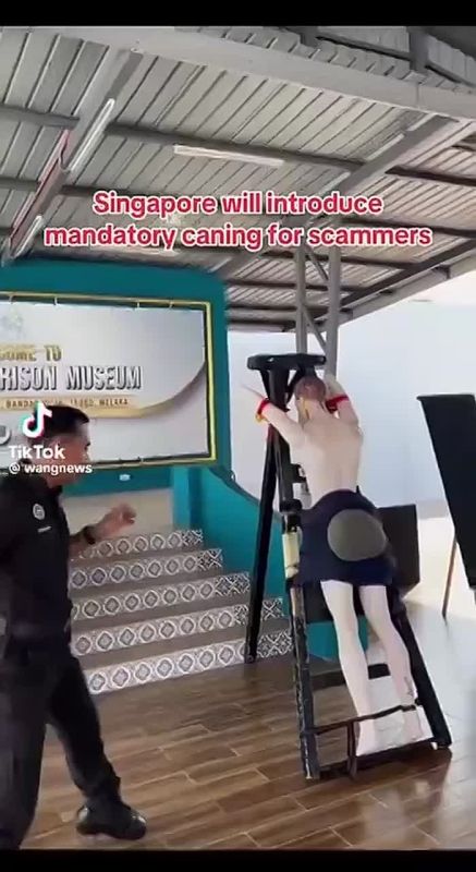 В Сингапуре за мошенничество в интернете будут пороть розгами