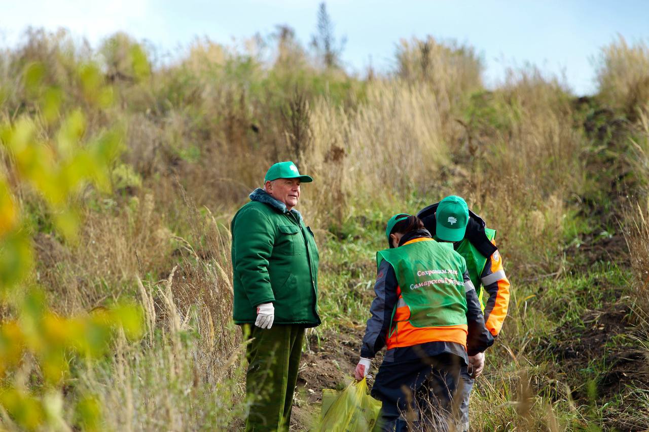 Итоги осенней акции «Сохраним лес» в Самарской области: Итоги осенней акции «Сохраним лес» в Самарской области: