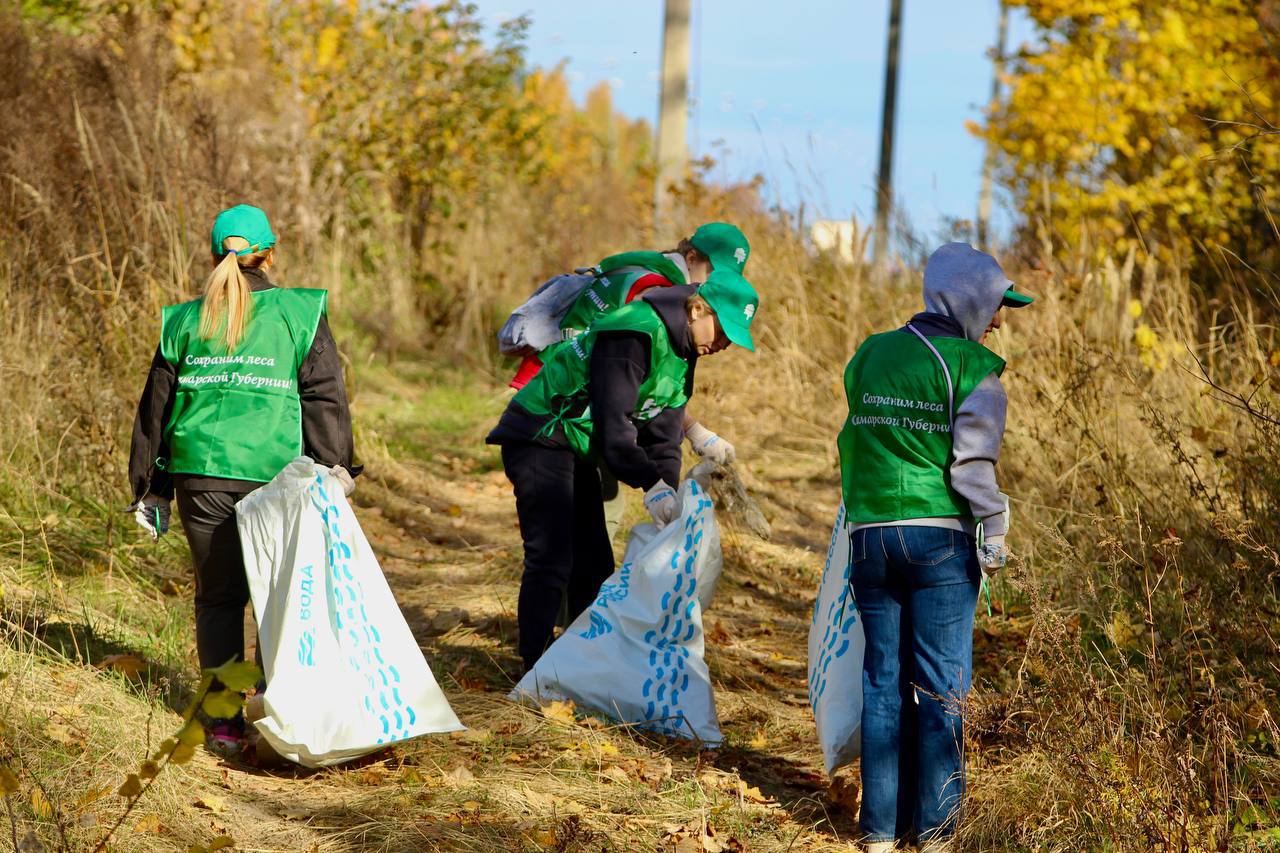 Итоги осенней акции «Сохраним лес» в Самарской области: Итоги осенней акции «Сохраним лес» в Самарской области: