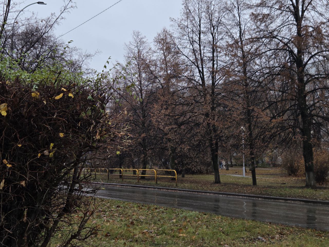 Утро субботы встречает пасмурно, но каким будет день?