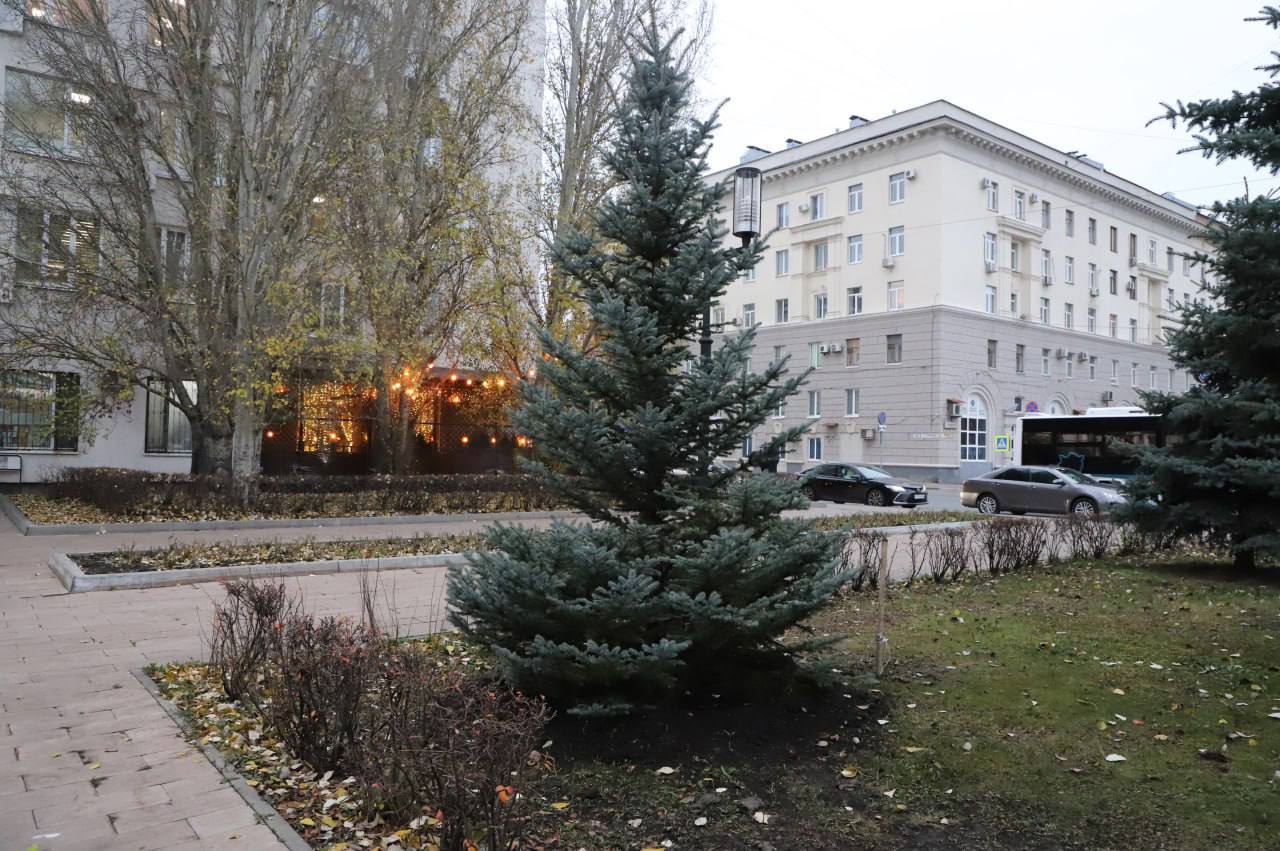 В Самаре завершается сезон озеленения улиц и общественных пространств В Самаре завершается сезон озеленения улиц и общественных пространств