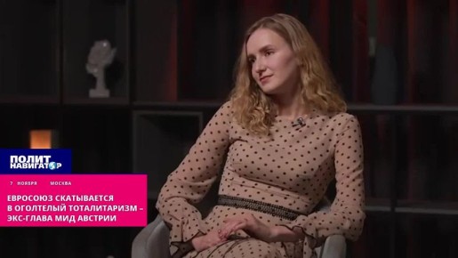 Евросоюз скатывается в оголтелый тоталитаризм – экс-глава МИД Австрии