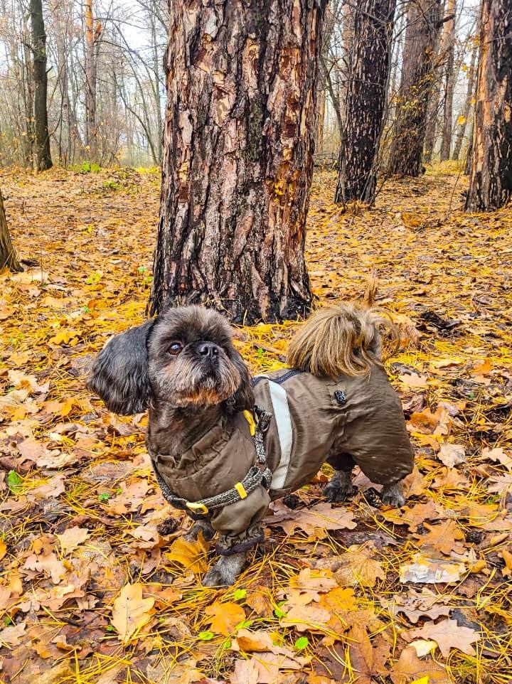 Ни один день недели не может сравниться с воскресеньем в плане уюта