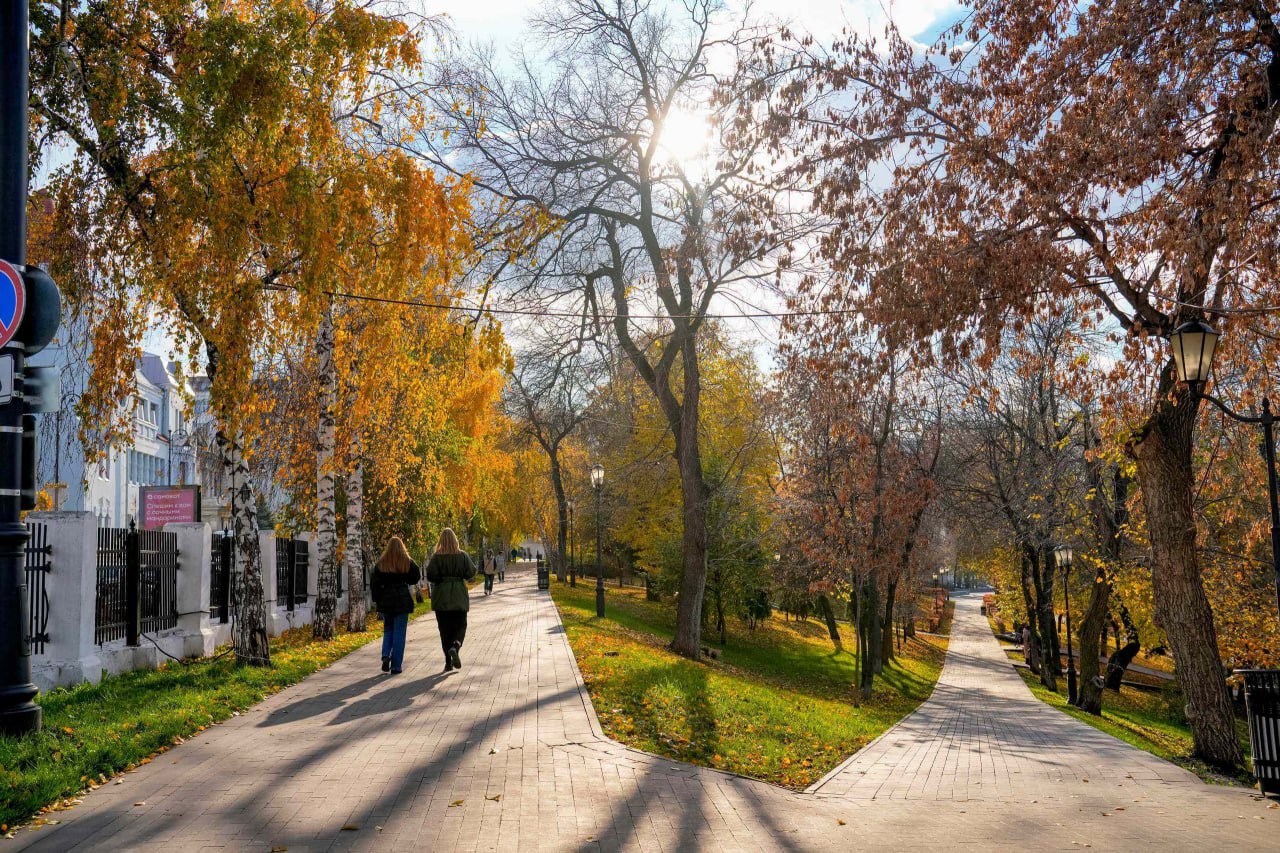 Дорожки Струковского. Хорошо, когда парк в центре города Дорожки Струковского. Хорошо, когда парк в центре города