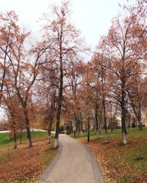 Доброе утро, Самара!. Желаем хорошего дня! : Красивые места Самары и области