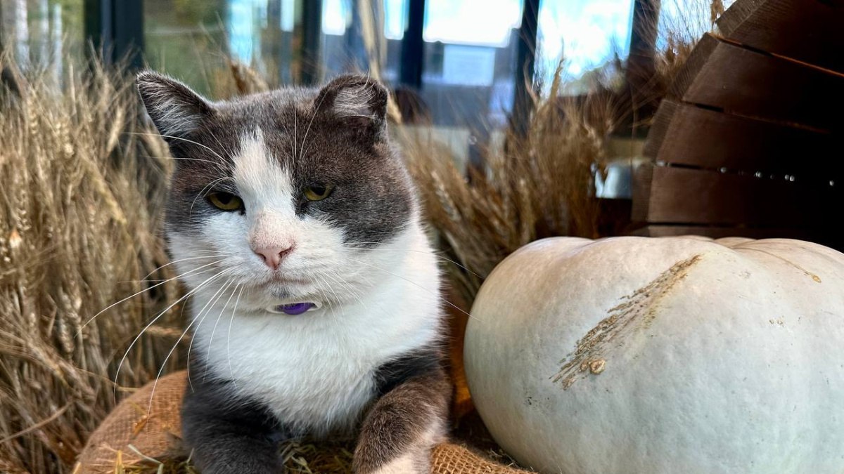 Потепление до +9 градусов ожидается в Самаре с 17 ноября