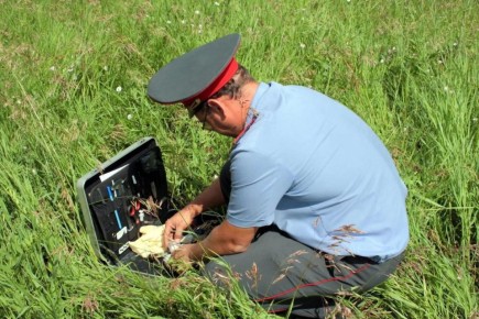 Внучка травила экс-мэра Самары Виктора Тархова и его жену несколько дней