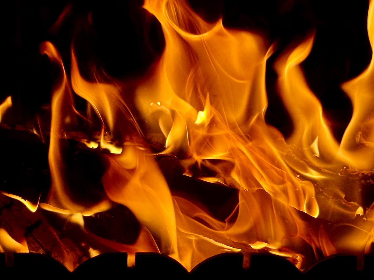 Площадь лесных пожаров в Самарской области сократилась в 11 раз