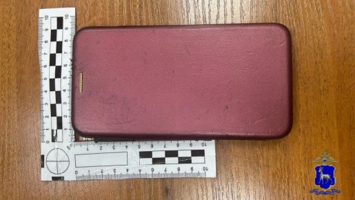 В Сызрани сотрудниками уголовного розыска с применением современных технико-криминалистических средств и методов задержана подозреваемая в краже мобильного телефона