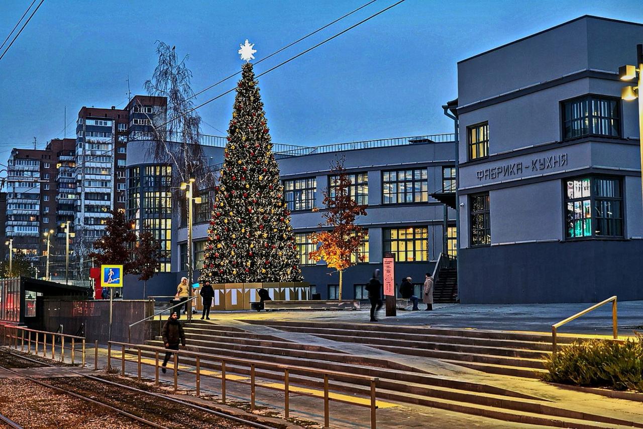 Елочные базары начнут работать в Самаре с середины декабря