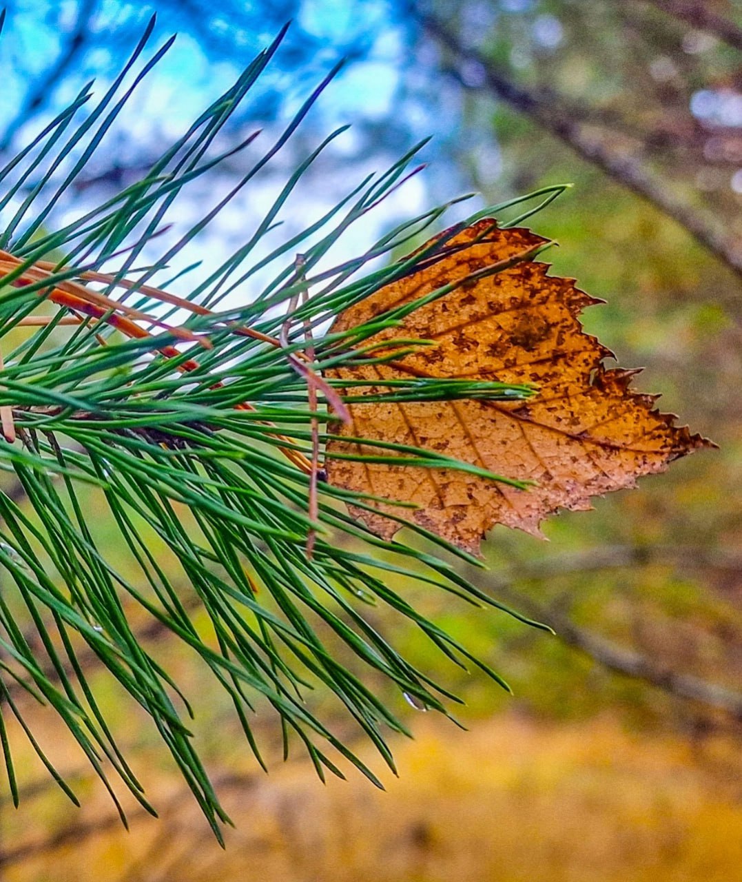Почти пятница, 13-е, только сегодня четверг!