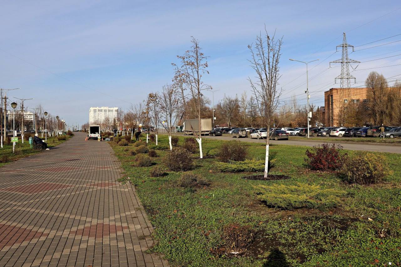 Более 2,2 тысяч кустарников и деревьев высаживают на улице Ташкентской и в сквере Лосином в Самаре