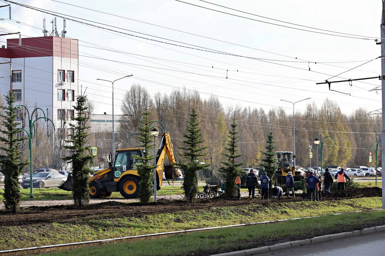 Более 2,2 тысяч кустарников и деревьев высаживают на улице Ташкентской и в сквере Лосином в Самаре Более 2,2 тысяч кустарников и деревьев высаживают на улице Ташкентской и в сквере Лосином в Самаре