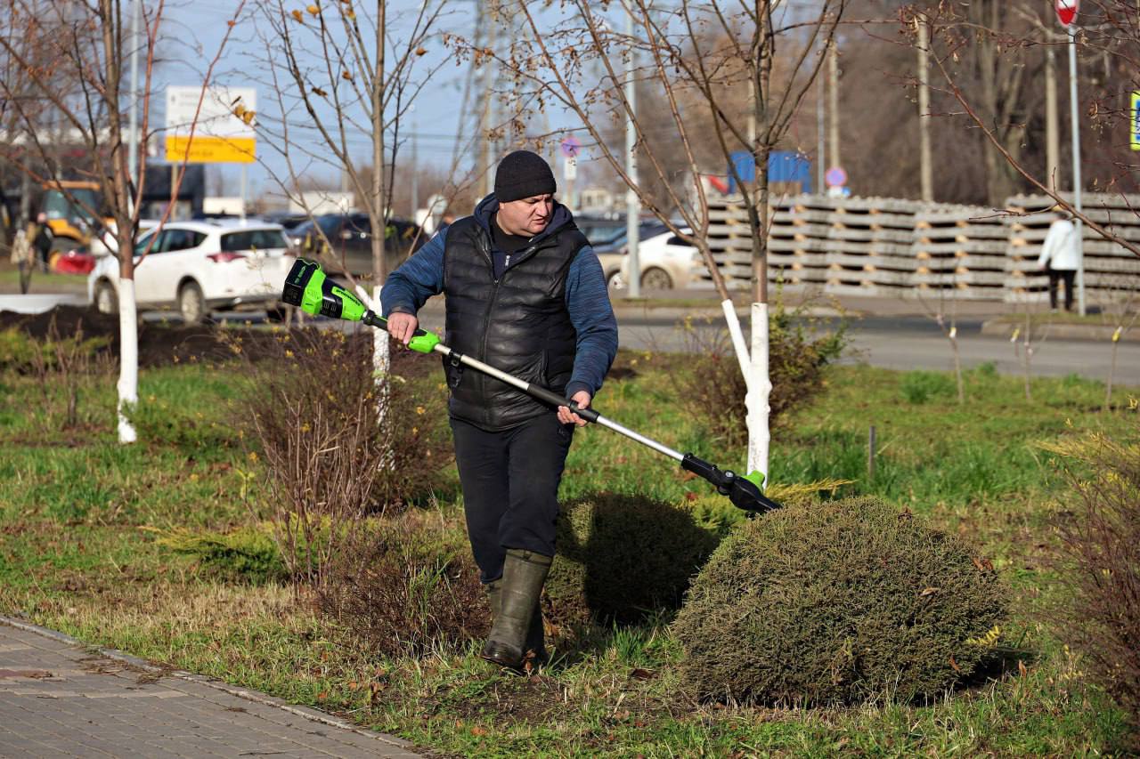 Более 2,2 тысяч кустарников и деревьев высаживают на улице Ташкентской и в сквере Лосином в Самаре Более 2,2 тысяч кустарников и деревьев высаживают на улице Ташкентской и в сквере Лосином в Самаре