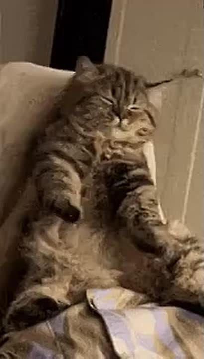 Доброе пятничное утро!. Рабочая неделя потихоньку подходит к концу, и погода решила нас порадовать потеплением