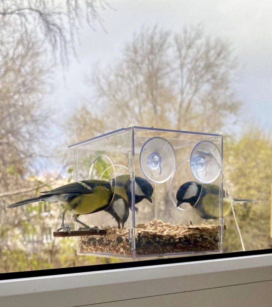 Сызрань, 14 ноября 2025. По народному календарю сегодня Осенние Кузьминки — «встреча зимы»