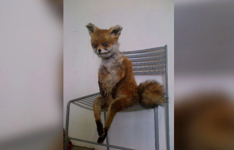 Как отличить усталость от выгорания и тревожных расстройств