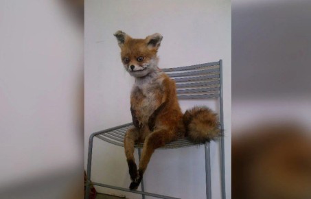 Как отличить усталость от выгорания и тревожных расстройств