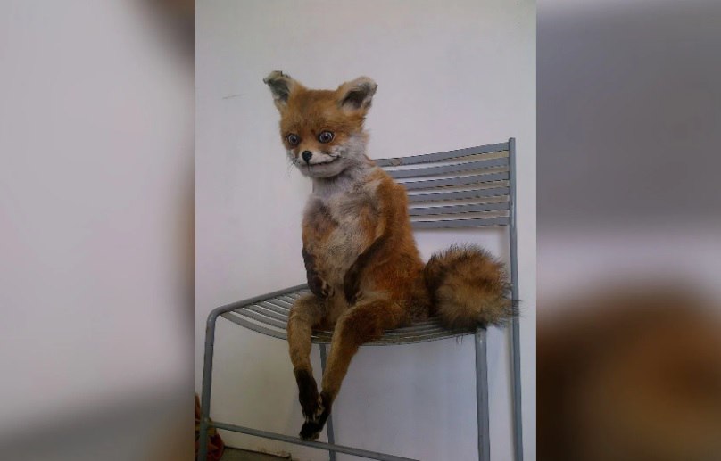 Как отличить усталость от выгорания и тревожных расстройств