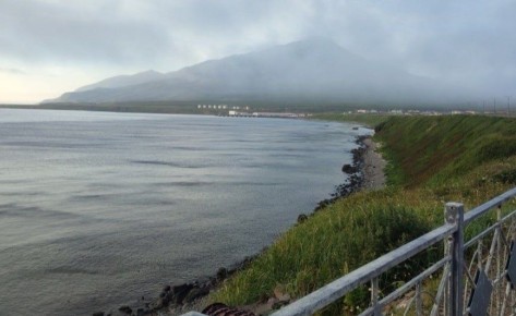 Студент из Самары рассказал о работе на рыбном заводе с тунцами за 160 млн рублей