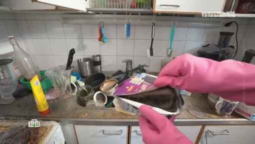 Блогерша из Финляндии разбогатела на своей любви к чистоте