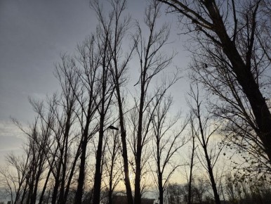 После ночного дождя воскресный день обещает солнце