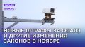 Новые законы: как изменения в ОСАГО, налогах и связи повлияют на россиян в ноябре