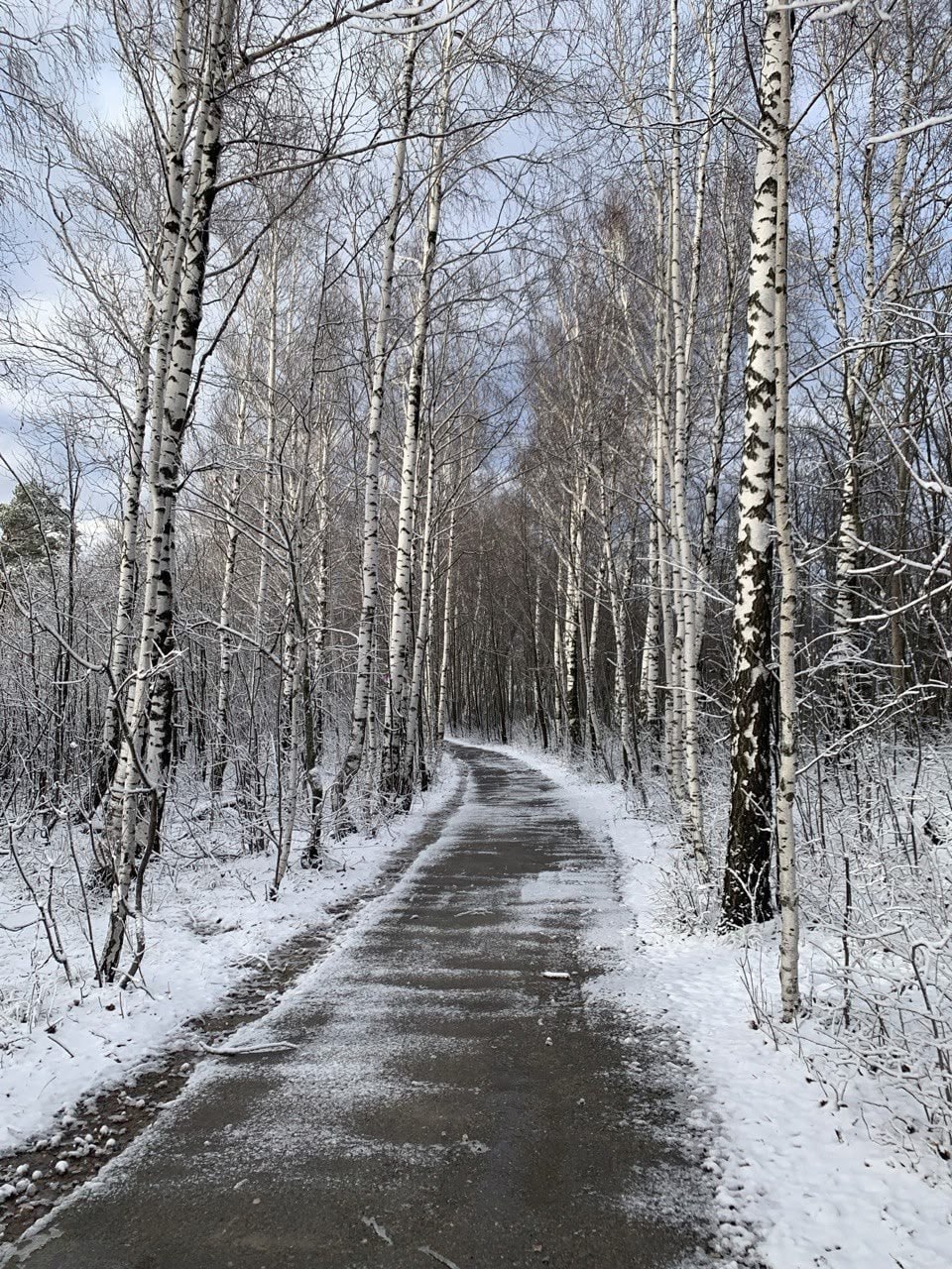 Жигулевские горы запорошило первым снегом под Самарой Жигулевские горы запорошило первым снегом под Самарой