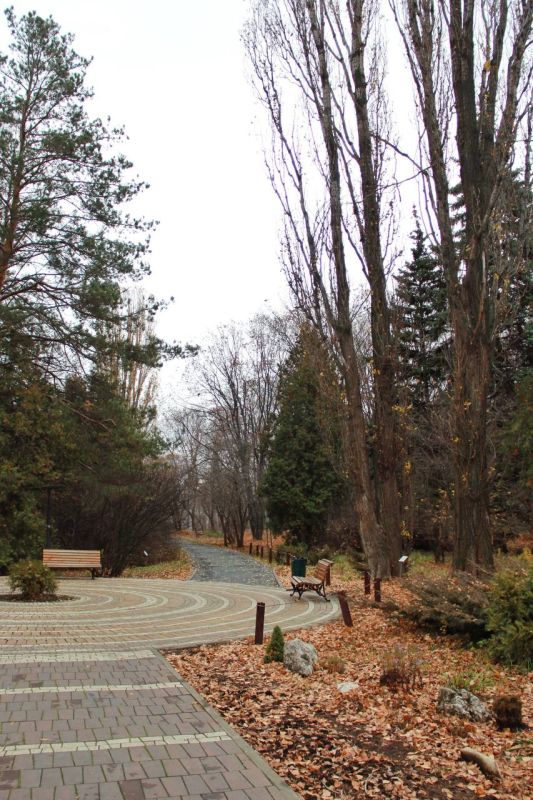 ������ ����, ������!. ����� ���� ���� �������� ������ �������! : �������� ����� ������ � �������