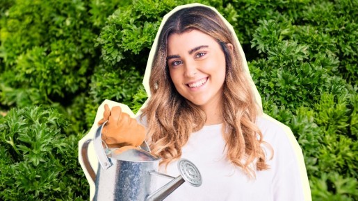 Из нескольких семечек соберете охапки петрушки: вот где ее надо посеять