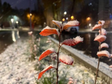 Доброе утро!. 17 ноября термометры покажут -3...+2 °C Обещают переменная облачность, местами небольшие осадки в виде мокрого снега и дождя, гололед Ветер Юго-восточный, 6...11 м/с. ГТРК Самара MAX lВК lОК lСАЙТ