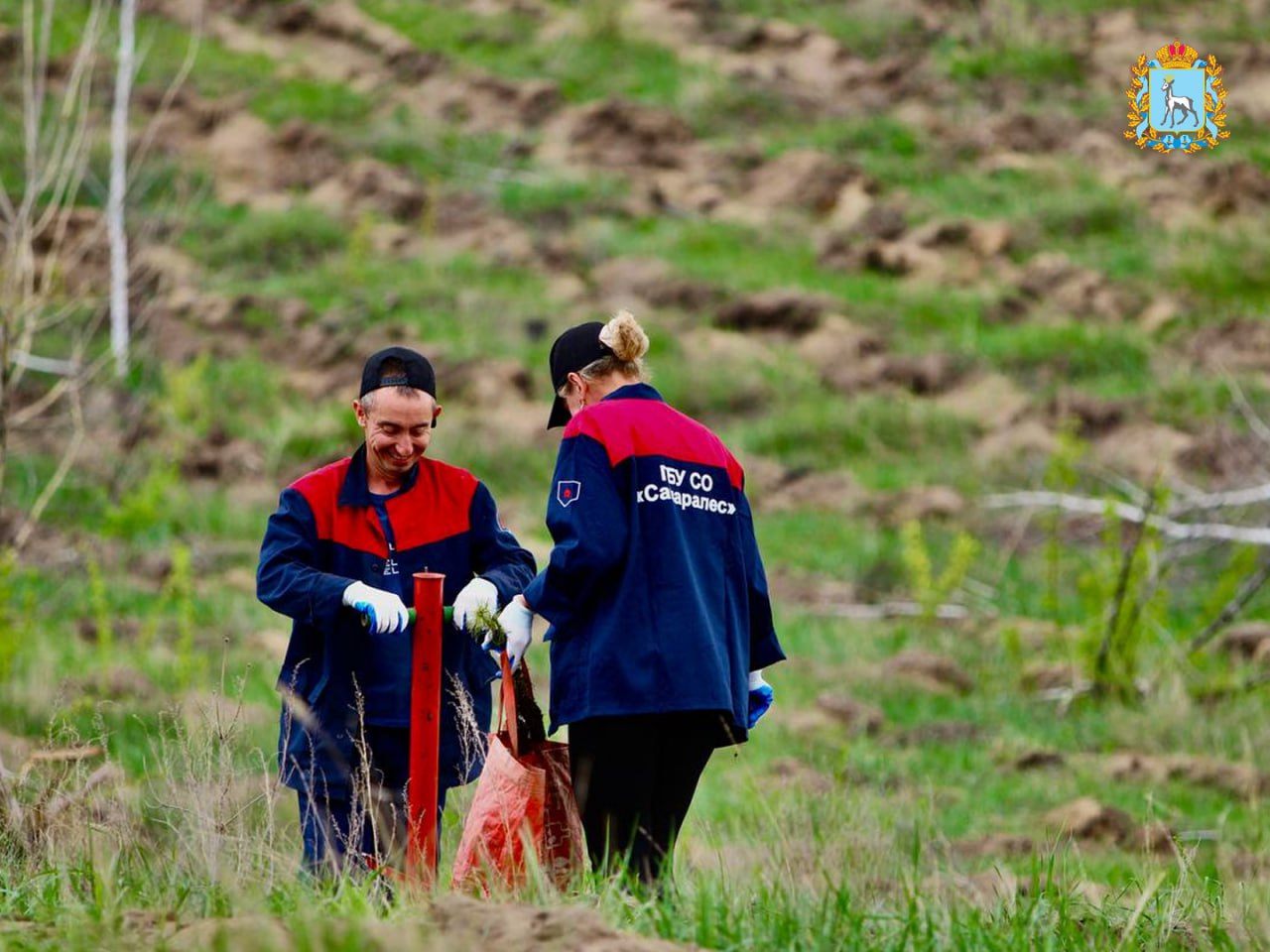 Итоги лесокультурного сезона 2025! Итоги лесокультурного сезона 2025!