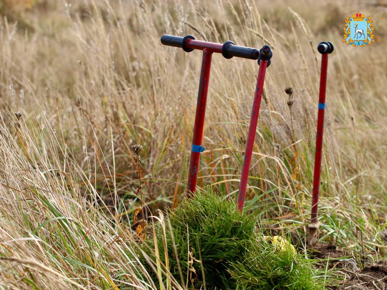 Итоги лесокультурного сезона 2025! Итоги лесокультурного сезона 2025!