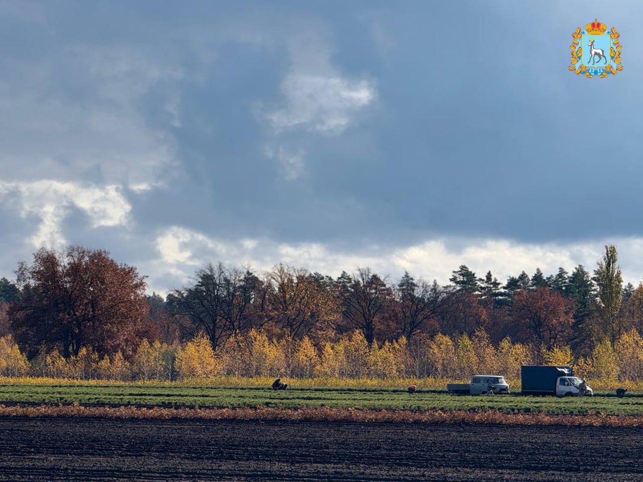 Итоги лесокультурного сезона 2025! Итоги лесокультурного сезона 2025!