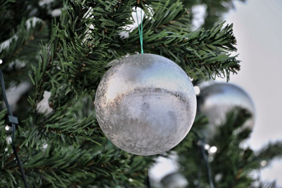 ����� 7-�������� ��� ������� ����������� ��� � ���� ��. ���� �������� � ������ ���� � ������