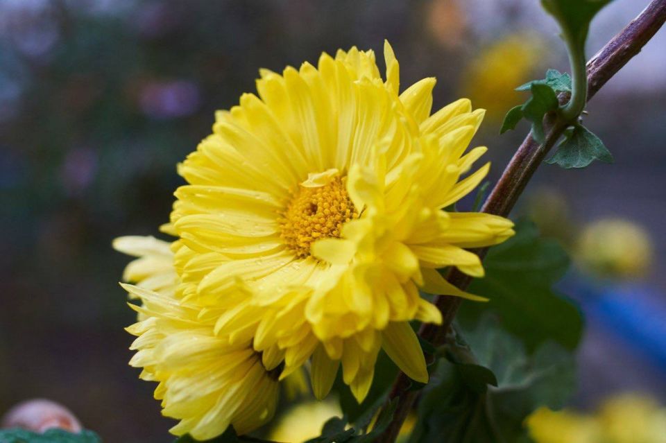 Красота вне сезона бесконечна и устойчива