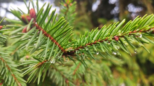  !. 19     +3...+9 C    ,  