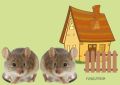 Как остановить зимнюю инвазию мышей на даче: советы и хитрости