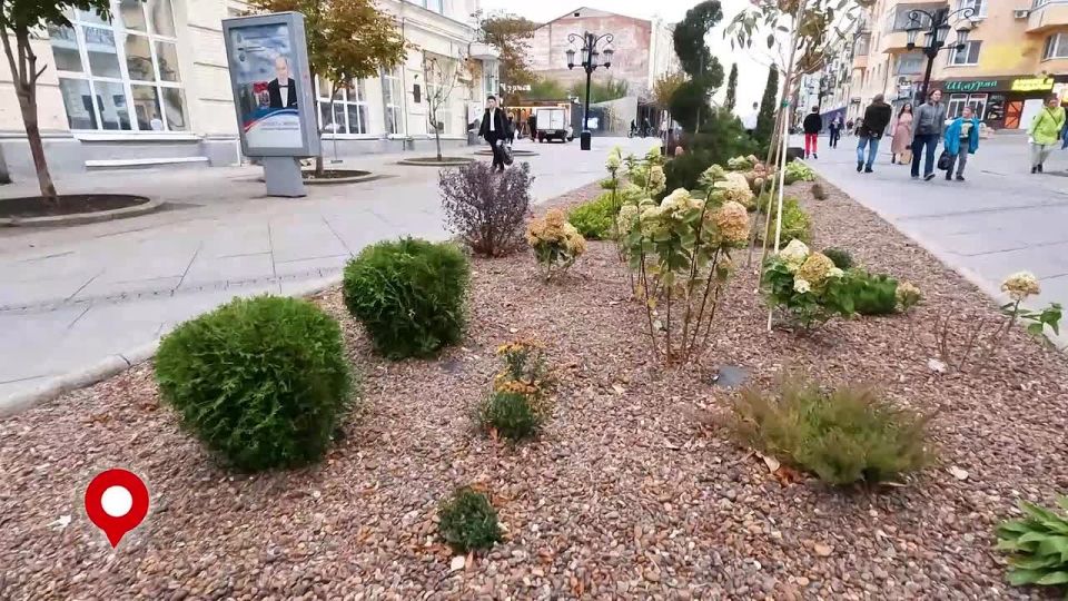 Самара — красивый город!. В этом году более 900 растений высадили на пешеходном участке улицы Ленинградской