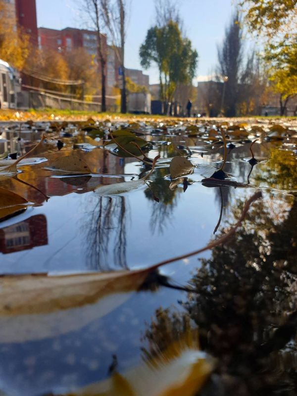 ������ ����, ������!. ������ ��� �������� ��� � ����� ������! :��������� ��������� ������ � ����