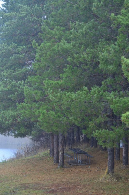 �������� ���� �� ���������� ������