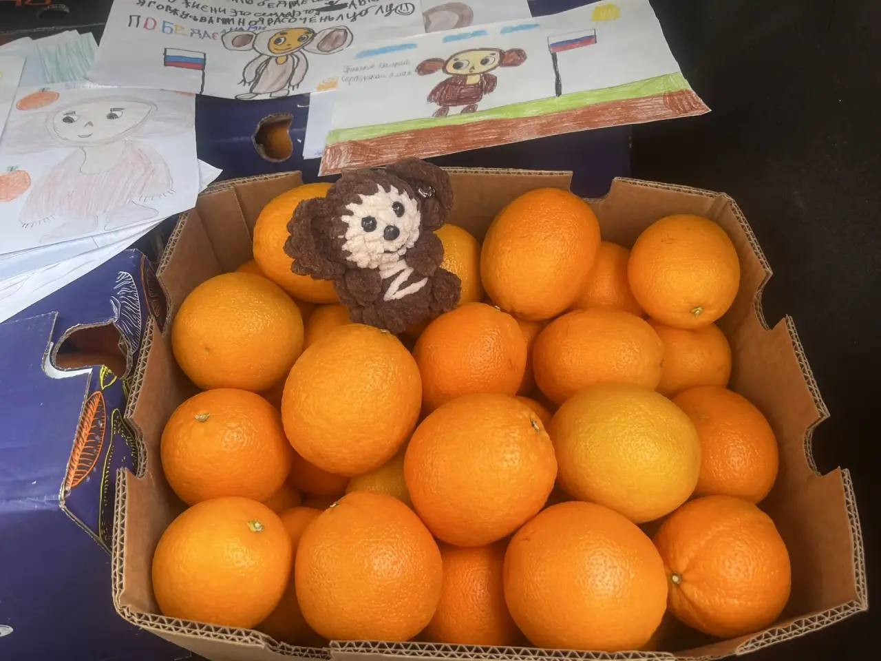 60 килограммов апельсинов, множество писем и Чебурашек доставлены раненым бойцам в госпитали Санкт-Петербурга 60 килограммов апельсинов, множество писем и Чебурашек доставлены раненым бойцам в госпитали Санкт-Петербурга