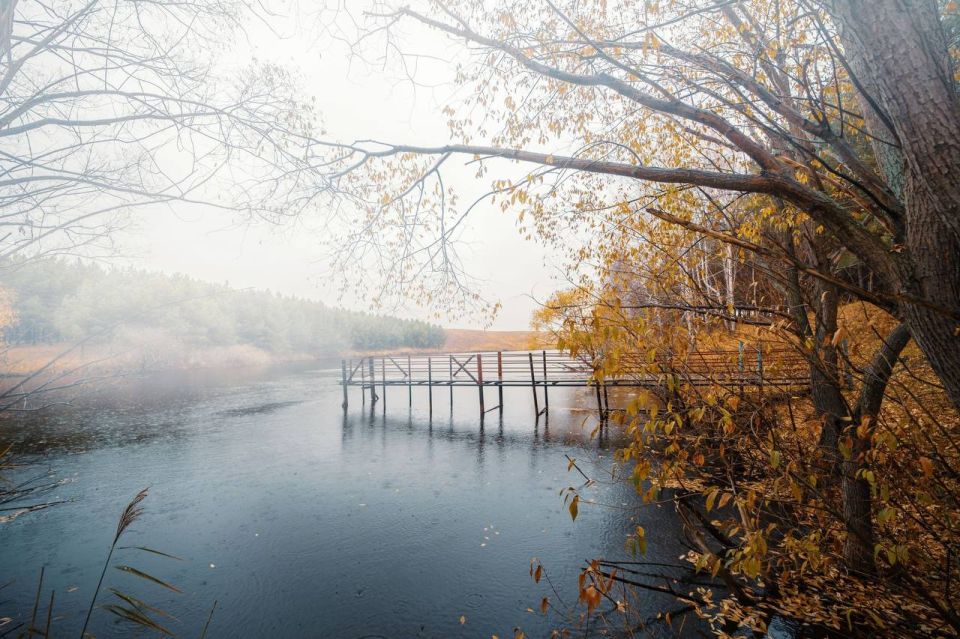 ���� ����� �������� � ������ ����� � ���������� �����