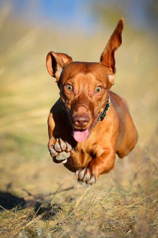 ��������� �������. ������� ������, ��� � ��� ����� ��������� � �������� ���� �����! : �������� ��������� �������� � ������������ ������������ ����� �������� ��������