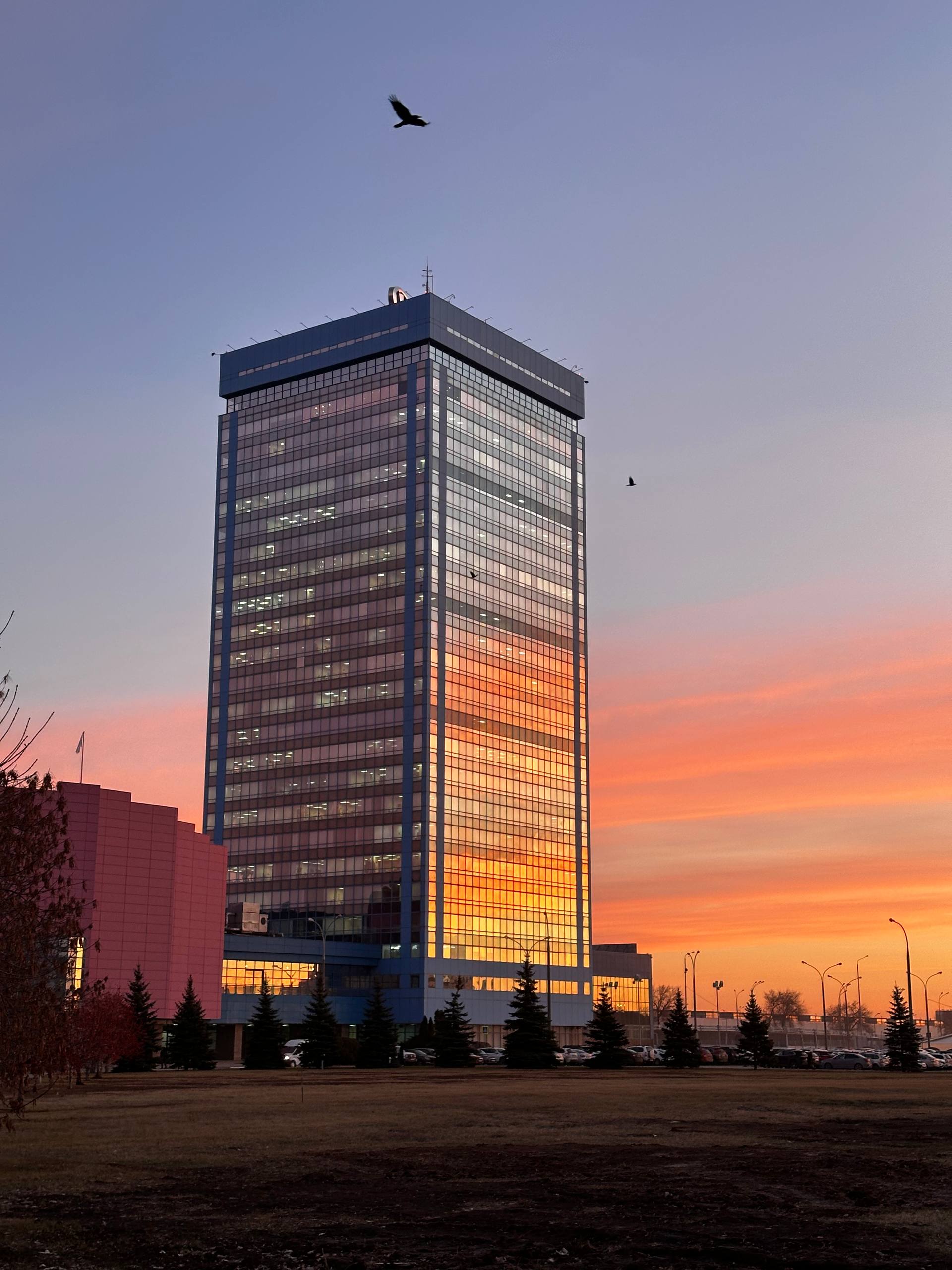 Воскресный день почему-то всегда кажется короче остальных