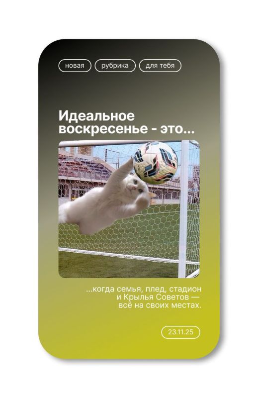  !.  ?    2025      ! -