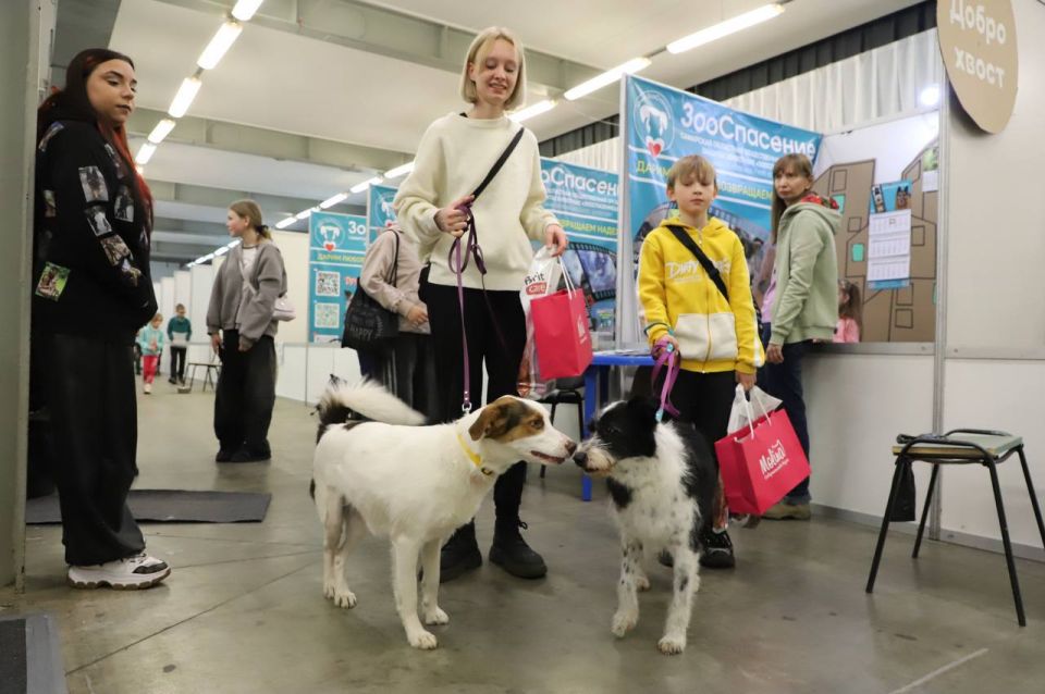 ����������� ����������������� ��������� ����� �������� ������ � ������