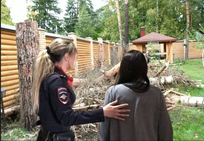 Странная история: женщина осуждена за рубку деревьев на собственном участке