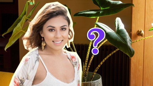 Раскидистый цветок перестанет падать: палки и нитки не понадобятся