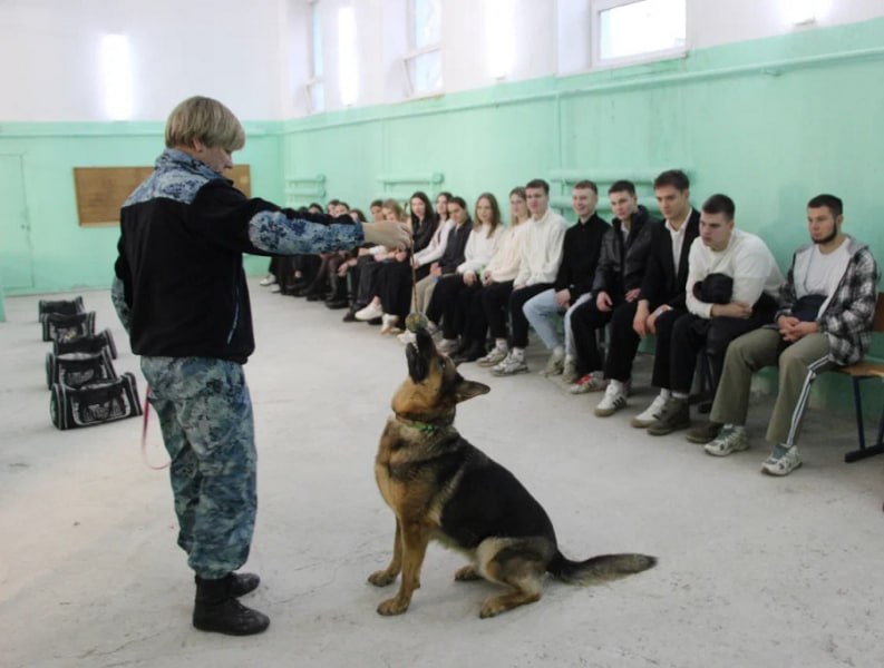 Сегодня, в областной столице, Управление по работе с личным составом ГУ МВД России по Самарской области организовало для учащихся техникума познавательное мероприятие, призванное познакомить молодёжь с особенностями... Сегодня, в областной столице, Управление по работе с личным составом ГУ МВД России по Самарской области организовало для учащихся техникума познавательное мероприятие, призванное познакомить молодёжь с особенностями...
